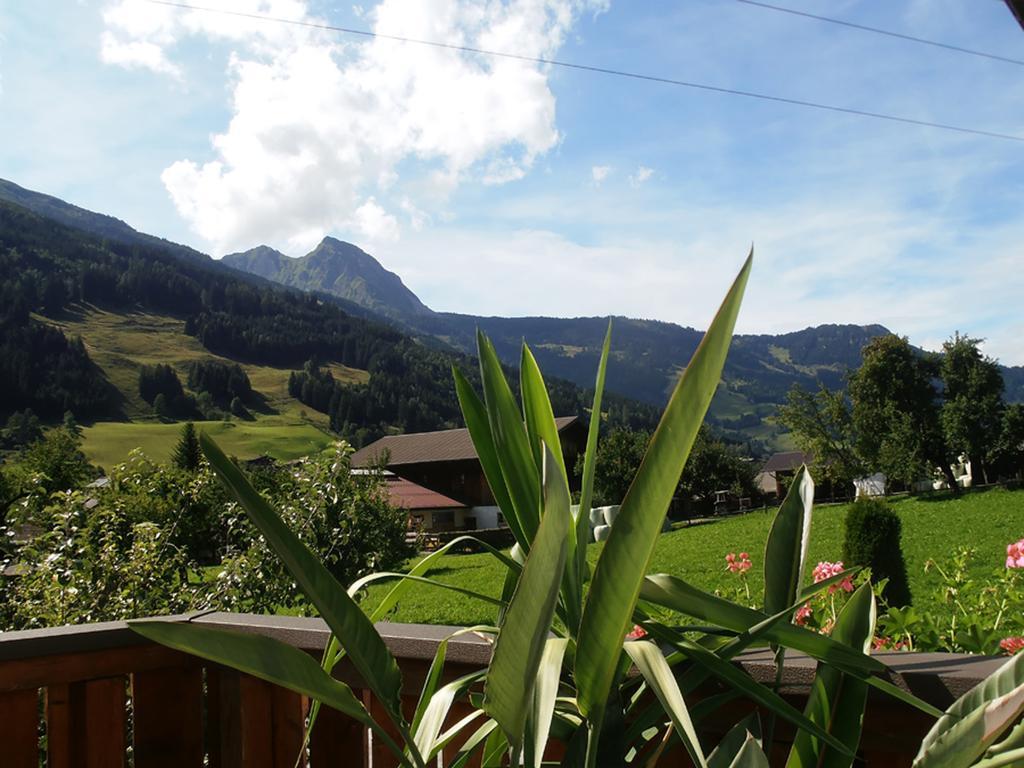 Landhaus Johanna Dorfgastein Zewnętrze zdjęcie